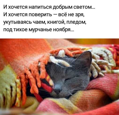 Твой обмен веществ работает как старый холодильник