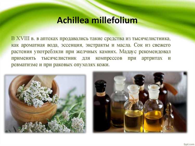 Achillea Millefolium Extract в косметике – польза и вред для кожи и волос