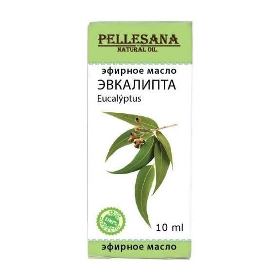 Эвкалипт в быту: от комаров до стресса