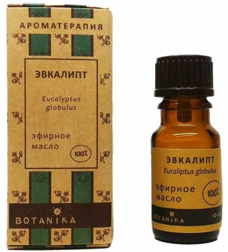 Какие способы вдыхания эвкалиптового экстракта подойдут для домашних условий