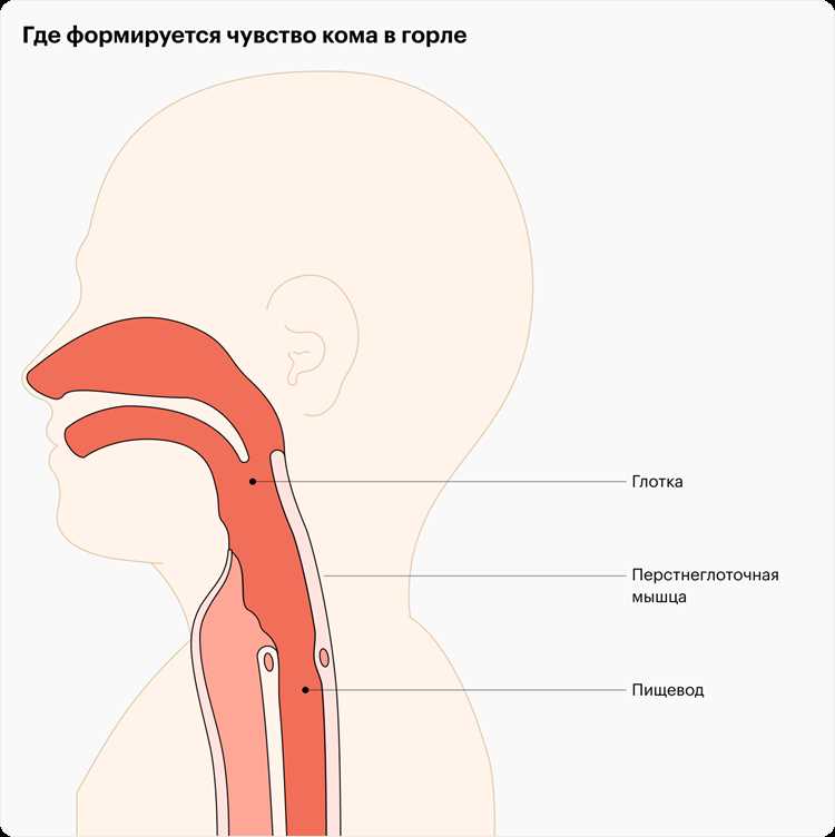Как избавиться от ощущения кома в горле и в чем причины дискомфорта?