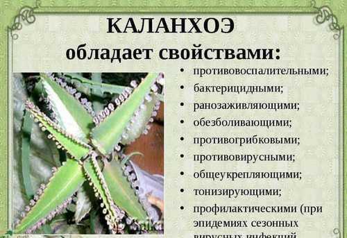 Когда лучше держаться подальше