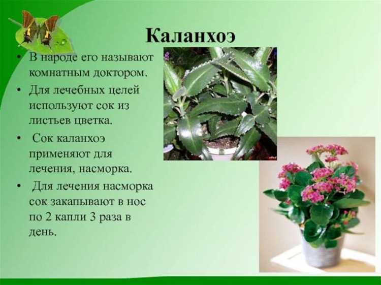 Как использовать, чтобы не пожалеть