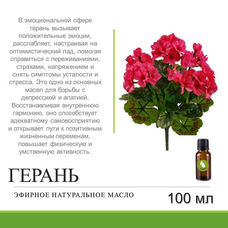 Что ещё можно сделать: неожиданные способы использования