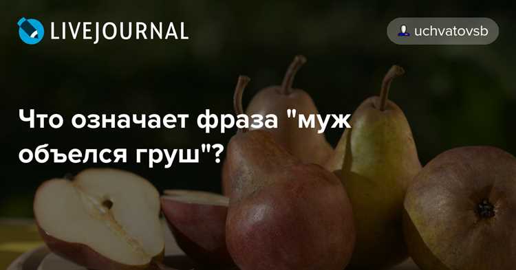 Муж, да объелся груш: в чем причина лени современных мужчин?