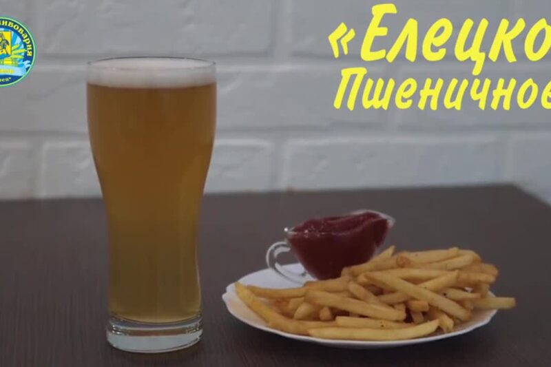 Пиво – популярный прохладительный напиток, который негативно влияет на почки